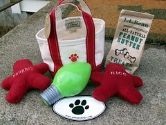 LLBeanPlanetDogb