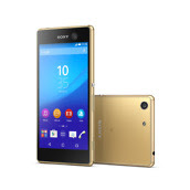 02_M5_gold_group