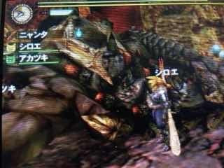 村クエスト グラビモス亜種から 碧火竜 ティガレックス亜種と 連戦 Mh4 狩猟日記