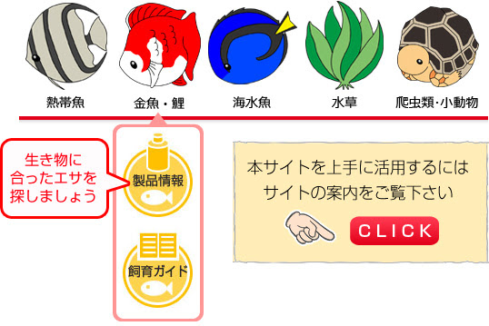 観賞魚に最適なエサガイド 正しいエサの選び方 与え方 株式会社セラジャパン