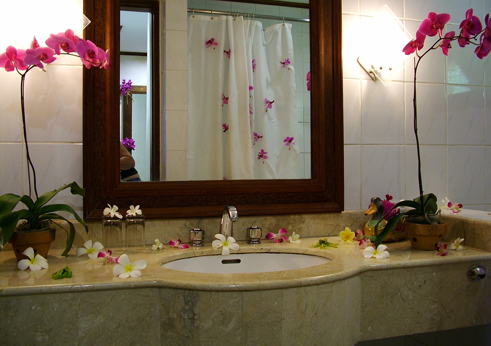 Bathroom Decorating Tips | Decoration Ideas
