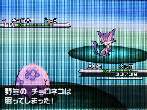 ポケモン育成 実践レポート