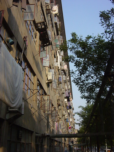 hung out to dry