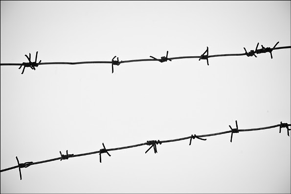 Barbed wire in focus
