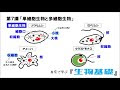 √100以上 イラスト ミドリムシ 構造 158779-ミドリムシ イラスト 構造