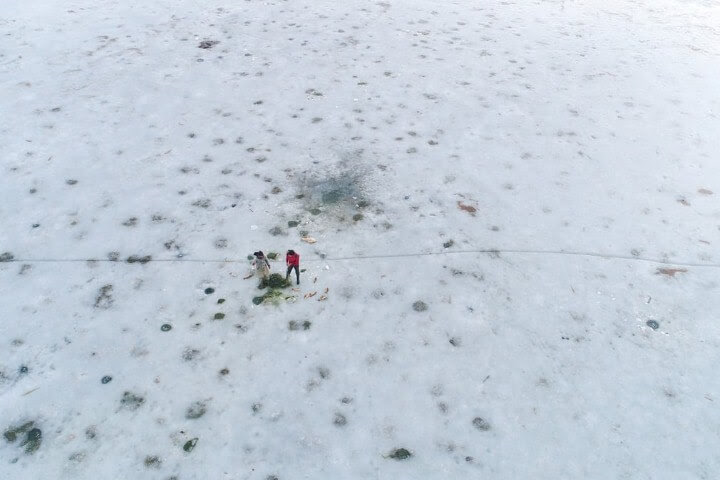 صور من العالم