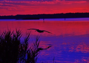 Budgewoi Lake