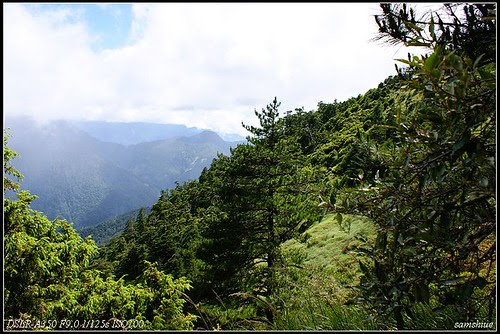 DSC05770