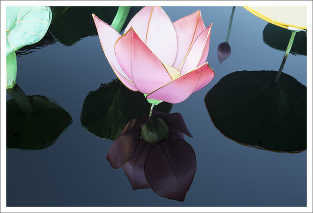 Festival of Lanterns 5