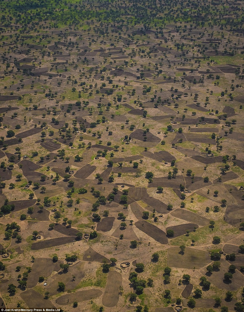 Working the land: Joel Krahn captured images including this one of fields near Arua in Uganda while working in Africa earlier this year