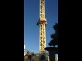 ++ 50 ++ 花屋敷 スター 133075