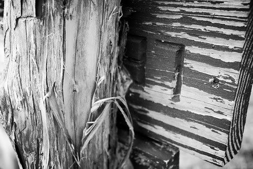 Stripes and Splinters