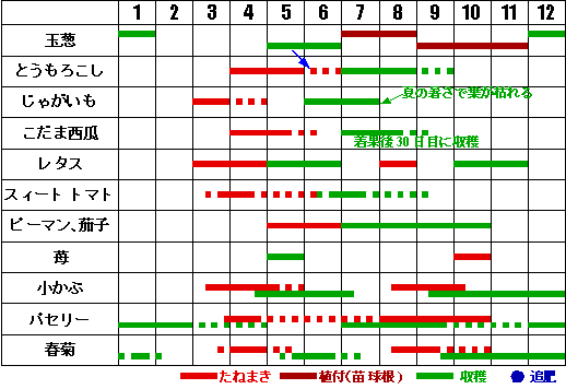 栽培カレンダー 野菜の育て方