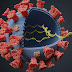 US authorizes Pfizer oral COVID-19 treatment, first for at-home use