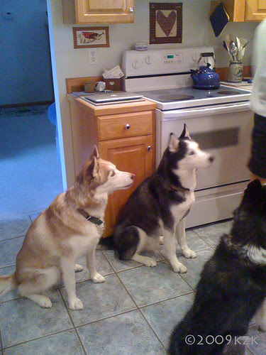IMG_4113 Zim, Dave, Storm