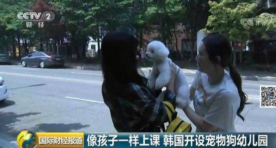 把狗当娃养 上课 午休 分班教学 宠物狗幼儿园火了 但每月费用 新闻详情