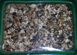 metodo pellicola - vermiculite