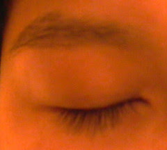 lash 2