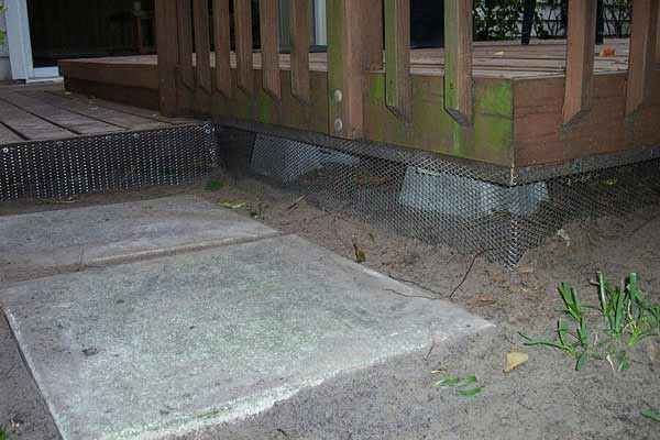 Animal Living Under The Deck or Shed - Opossum Possum Control