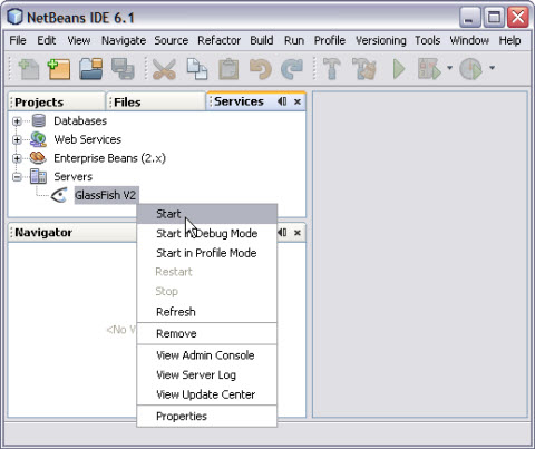 Starting the GlassFish Application Server - Oracle Java CAPS FTP Binding Component Tutorial