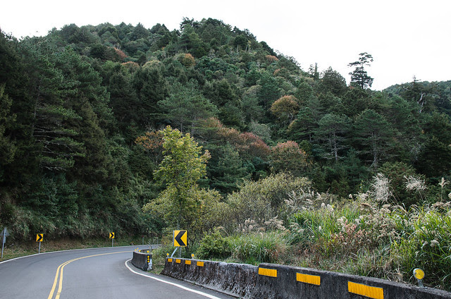 水里-民雄 單車騎旅 Day3 東埔山莊>奮起湖
