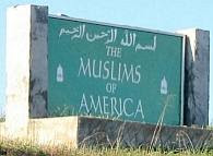 The Muslims of America