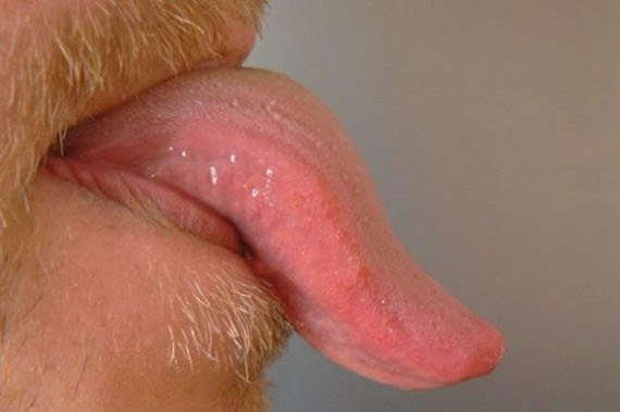 Longest tongues of the world (68 pics)