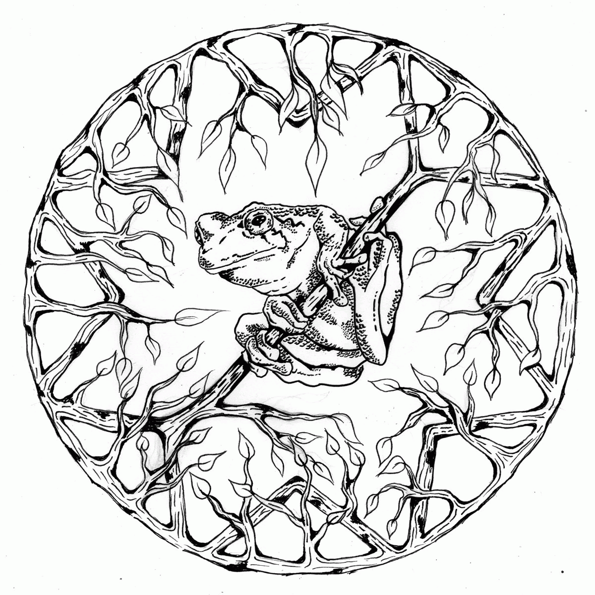 free mandala coloring pages for adults coloring home