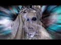 LADY GAGA - Marry The Night
