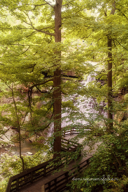 The Falls from Afar