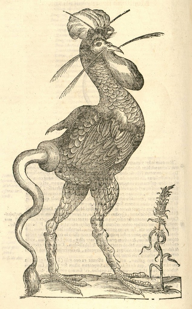 16th century woodcut of giant chicken monster by Aldronvandi
