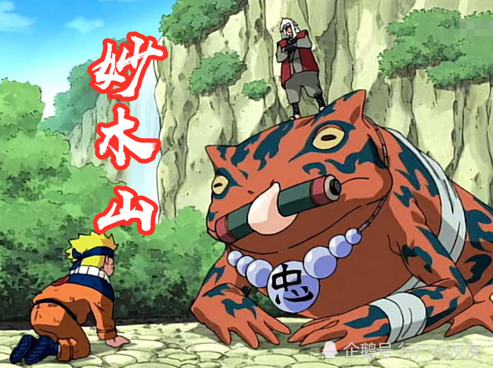 湿骨林蛞蝓仙人有多大 万图壁纸网