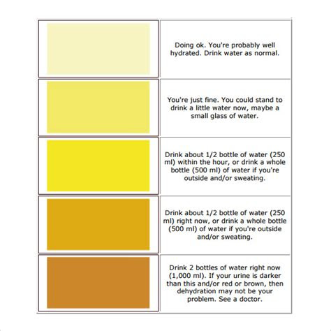  urine color chart drug test
