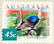 Variegated Fairywren Malurus lamberti