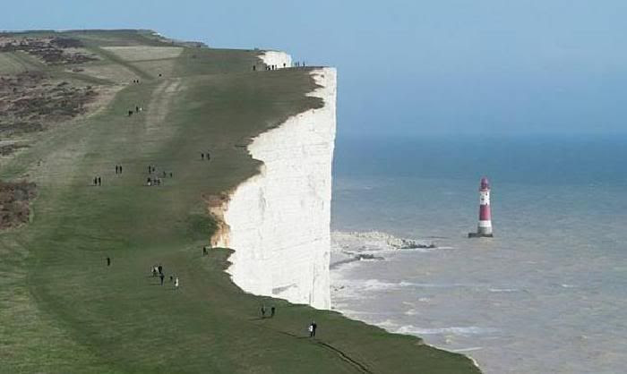funny and beautiful nature pictures4