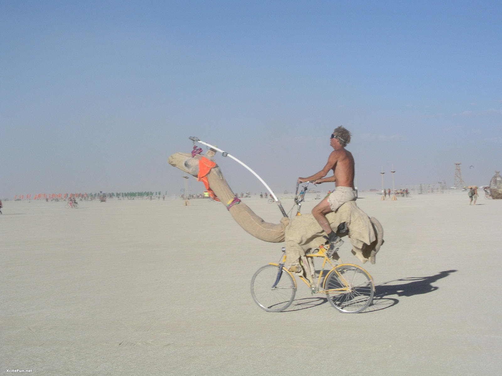 Latest Cycle In Arab  Ha ha ha