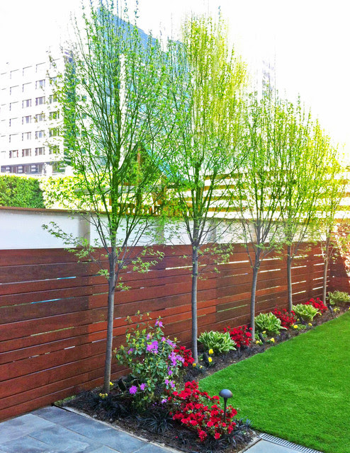Small Tree Landscaping Ideas Back Yard
