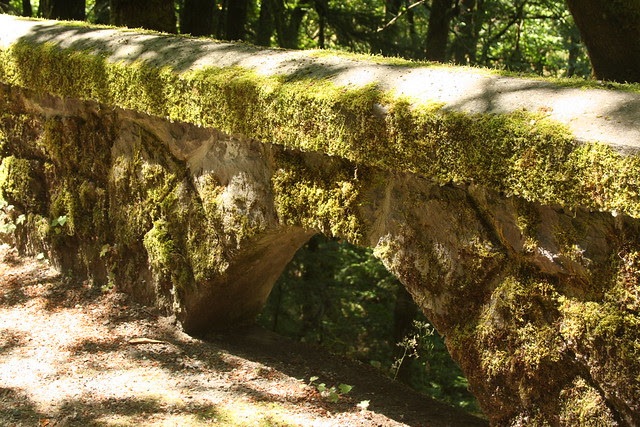 Ruckel Creek Falls