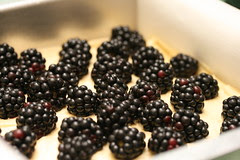 Blackberry Crumb Bars (Everyday Food)