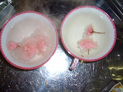 Gasolina Alcohol Drink. a tea-like drink made by