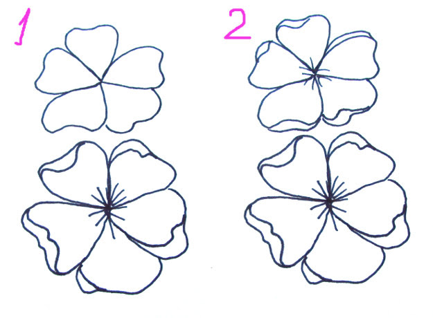 Apple Blossom Drawing At Getdrawings Free Download