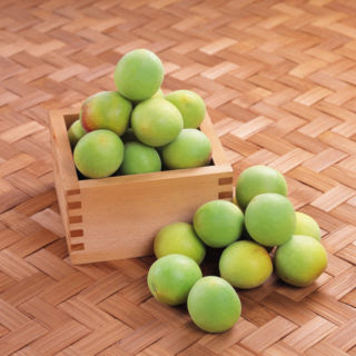 柿の激安通販 訳あり食品の販売情報システム