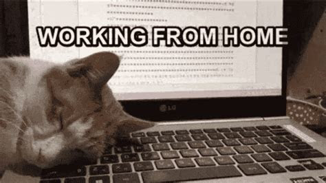 work  home memes designbump