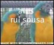 create your own banner at mybannermaker.com!