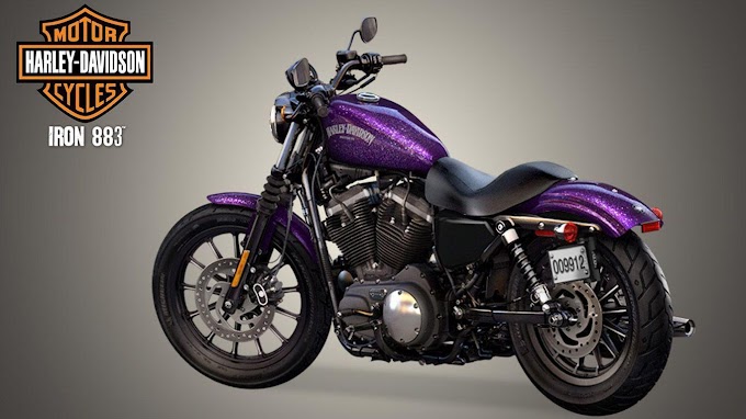 Harley Iron Horse 883 - Harley-Davidson Sportster Iron 883 for rent near Ft ... - You can consider the iron 883 to be harley's factory bobber.