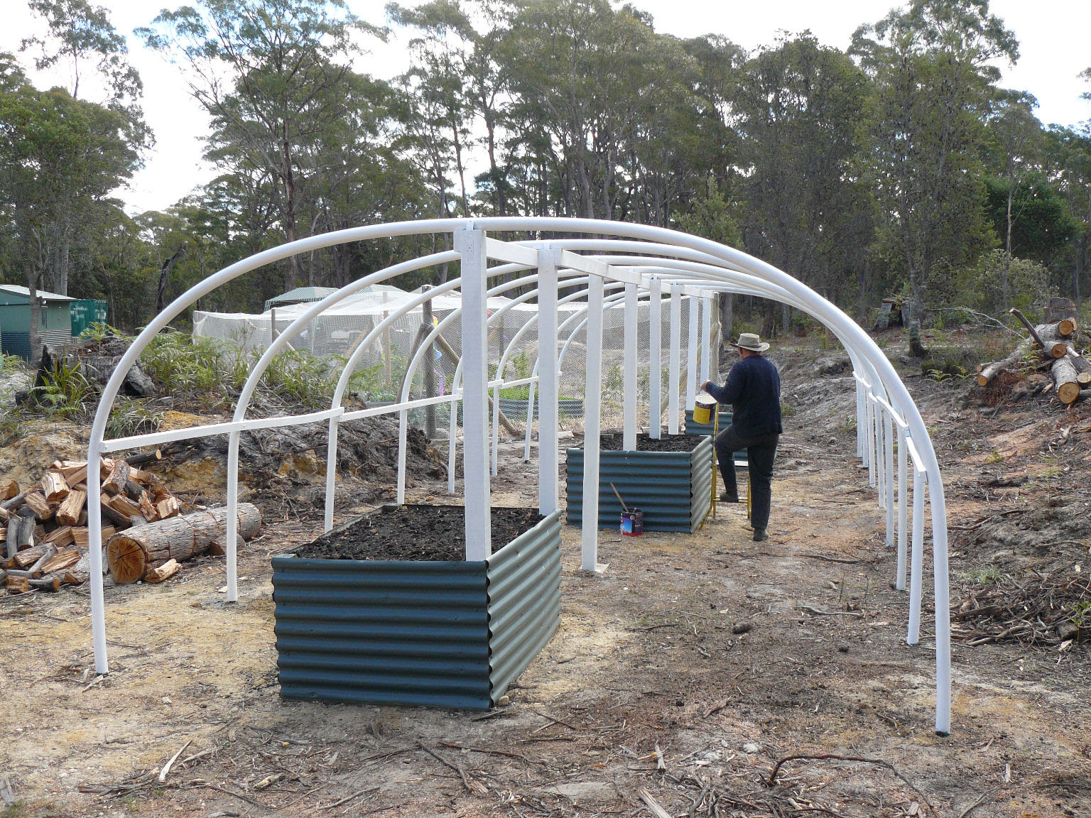 Building our poly tunnel greenhouse . . .   Banksia Hollow  greenhouse plastic white