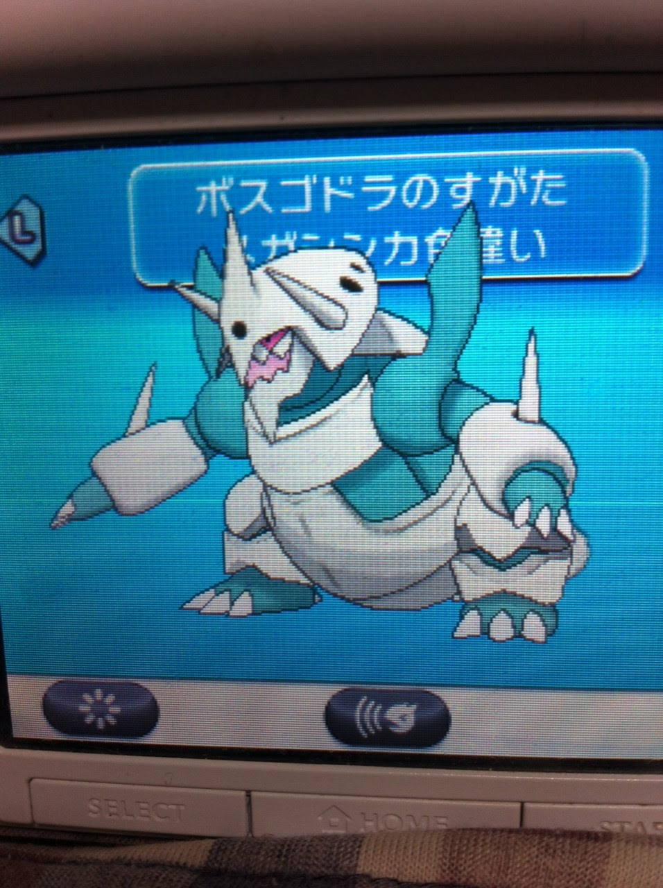 メガボスゴドラ Mhx 色違いに釘付け