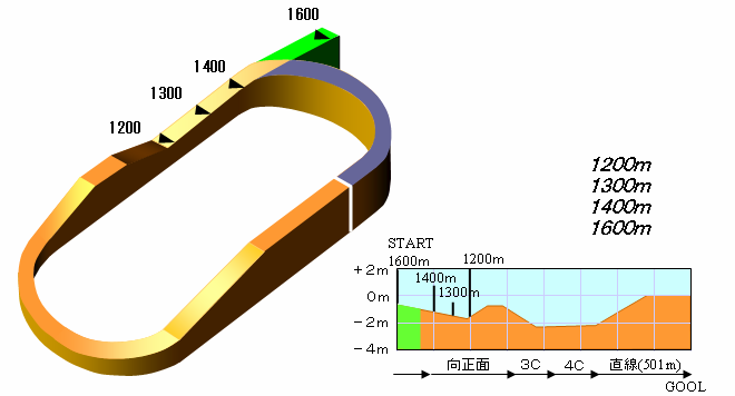 東京競馬場