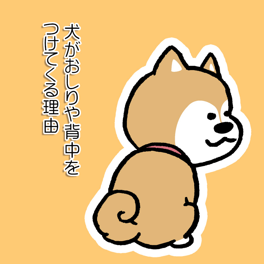 犬がおしりや背中をくっつけてくる理由は 犬の信頼を示す行動7選