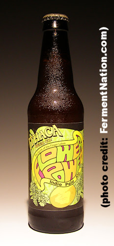 Ithaca Flower Power IPA